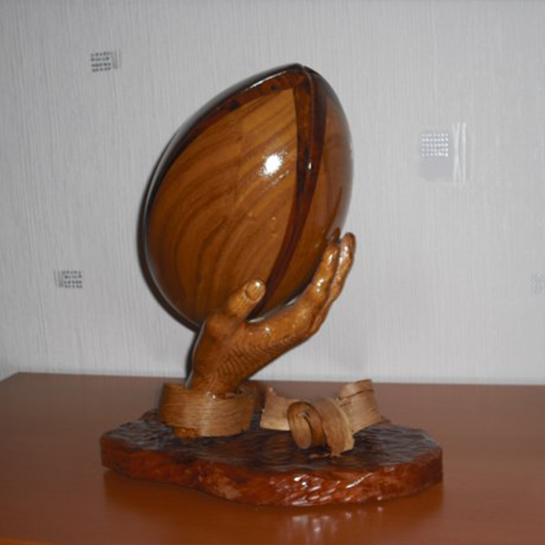 Ballon de Rugby